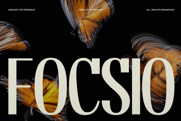 Focsio: A Designer's Honest Review for Real Projects