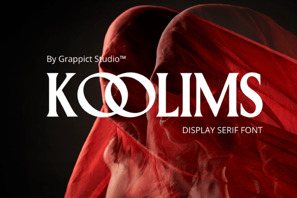 Koolims: The Display Serif Font That Made Our Campaign Pop